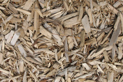 biomass boilers Inveralligin